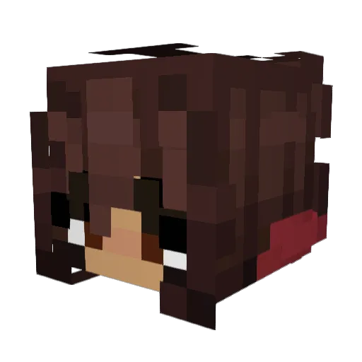 papayanet Minecraft avatar head, 3D render