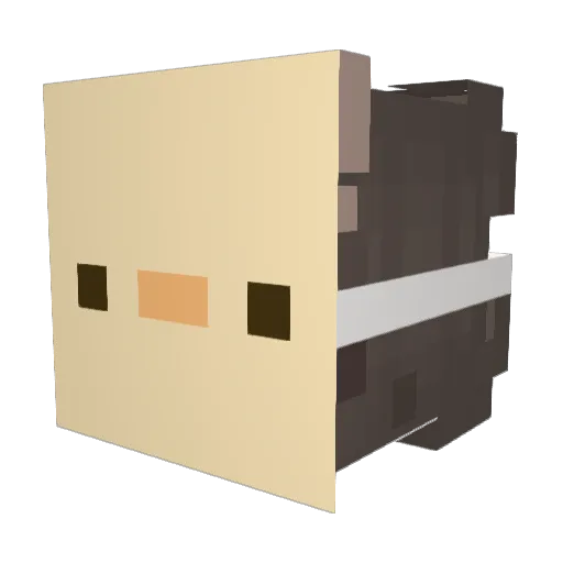 papayasalad Minecraft avatar head, 3D render