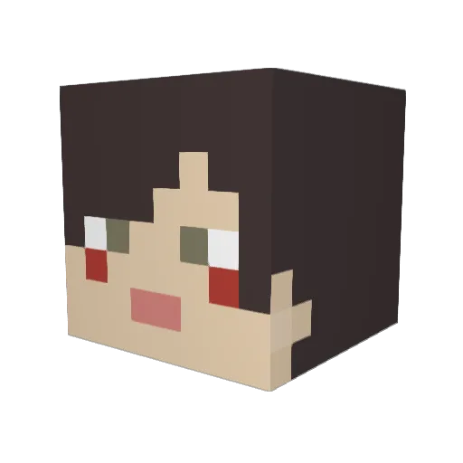 paper_3 Minecraft avatar head, 3D render
