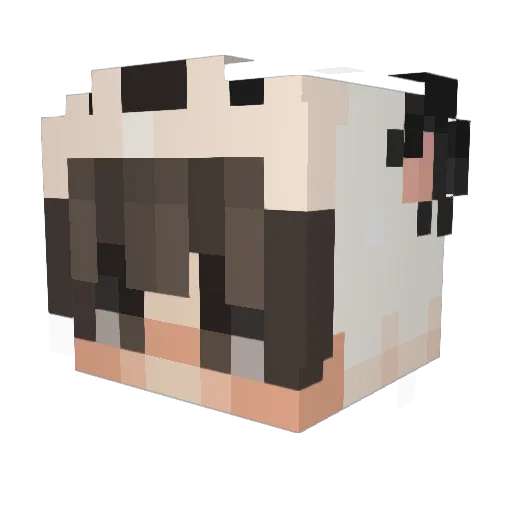 paper_crane517 Minecraft avatar head, 3D render