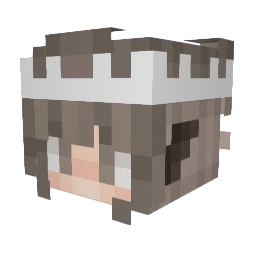 papercrows Minecraft avatar head, 3D render
