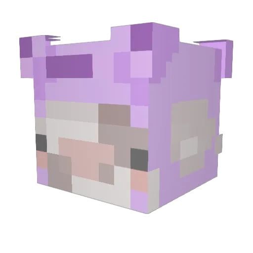 paperlimes Minecraft avatar head, 3D render