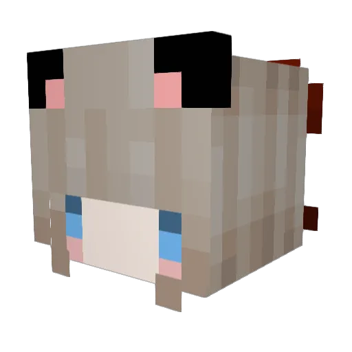 papers019 Minecraft avatar head, 3D render