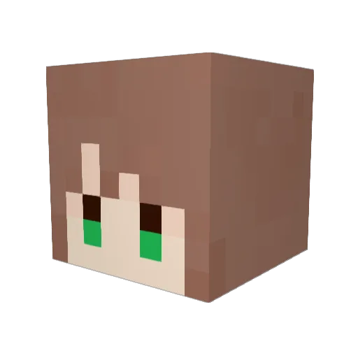 papi555 Minecraft avatar head, 3D render