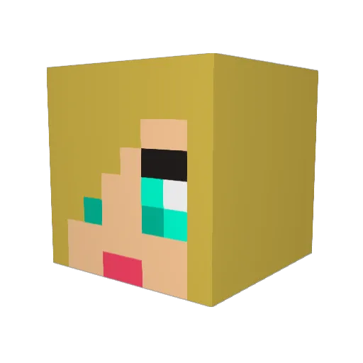 papiCOSTArica4 Minecraft avatar head, 3D render