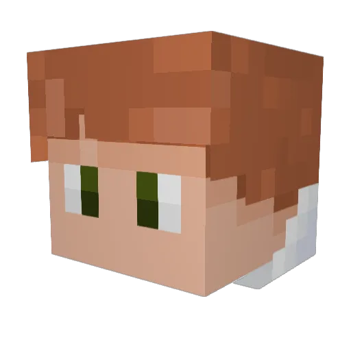 papin_sule Minecraft avatar head, 3D render