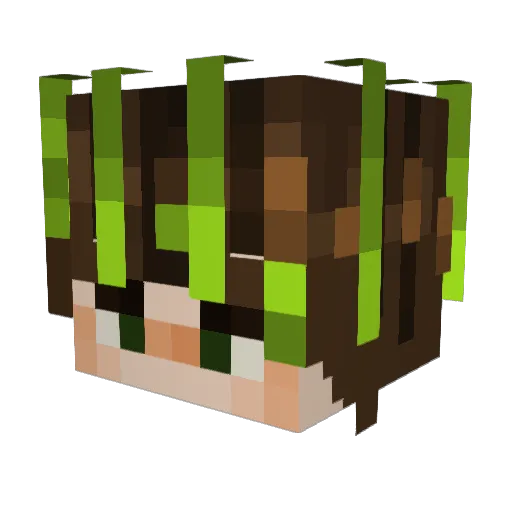 papko54 Minecraft avatar head, 3D render