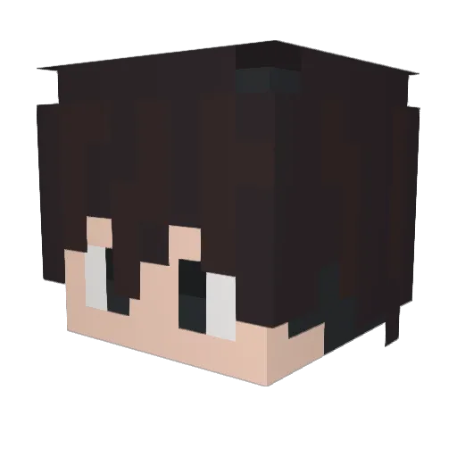 papo1019 Minecraft avatar head, 3D render