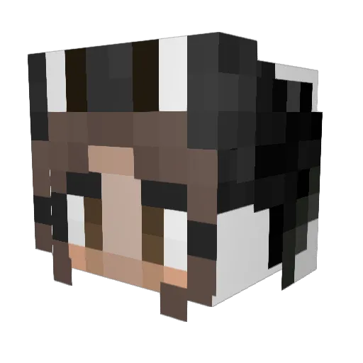 pappy725 Minecraft avatar head, 3D render