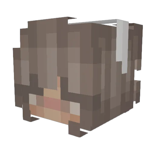 pappyfever Minecraft avatar head, 3D render