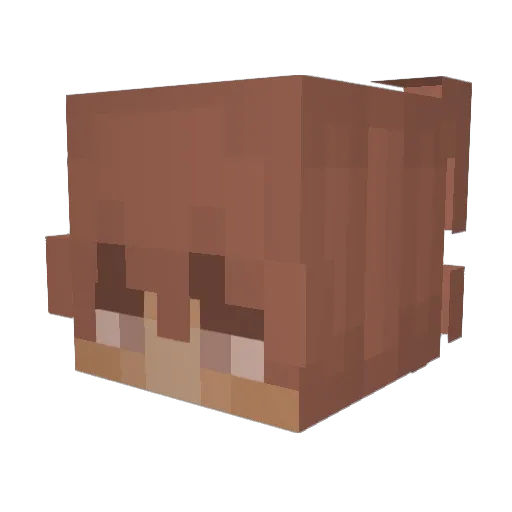 papusoi32 Minecraft avatar head, 3D render