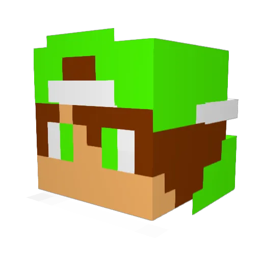 paquecool14 Minecraft avatar head, 3D render