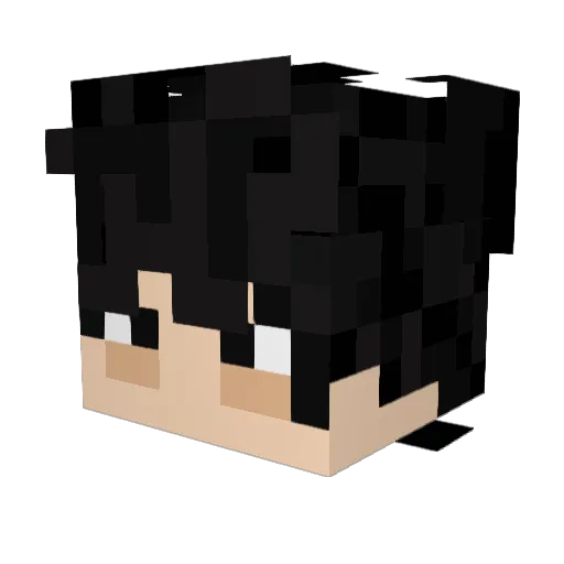 par4minds Minecraft avatar head, 3D render