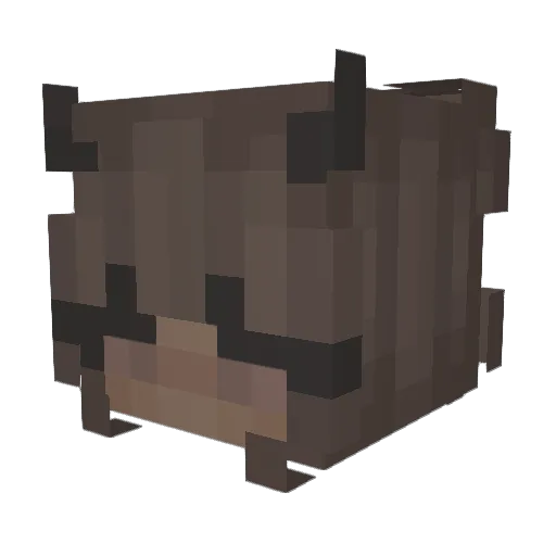 paracetuhmol Minecraft avatar head, 3D render