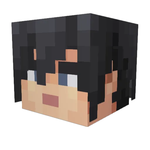 paradei Minecraft avatar head, 3D render
