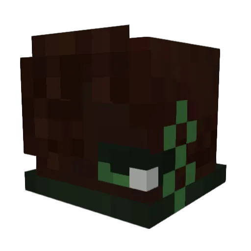paradise_MC Minecraft avatar head, 3D render