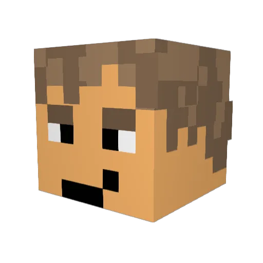 paradiseciity Minecraft avatar head, 3D render