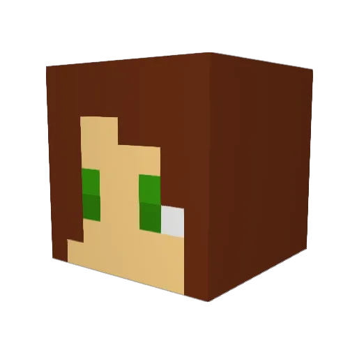 paradisiacar Minecraft avatar head, 3D render