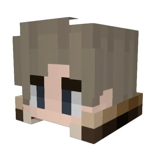 paradoxBL Minecraft avatar head, 3D render
