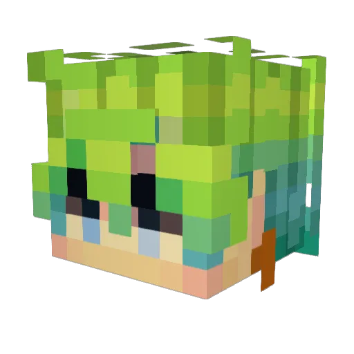 paradoxvv Minecraft avatar head, 3D render