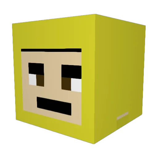 paragoncats Minecraft avatar head, 3D render