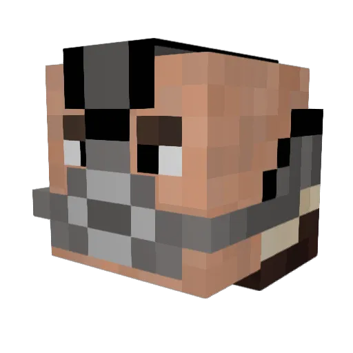 paragonnova_v1 Minecraft avatar head, 3D render