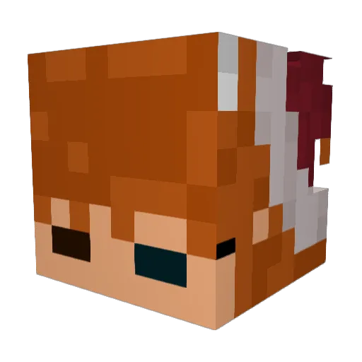 paragonx1 Minecraft avatar head, 3D render