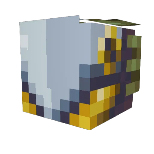 parakeet5400 Minecraft avatar head, 3D render