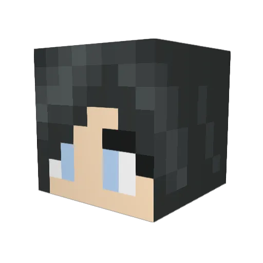 parakeet555 Minecraft avatar head, 3D render