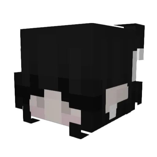 paramercy Minecraft avatar head, 3D render