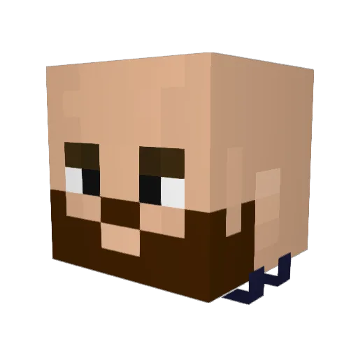 paranhoss Minecraft avatar head, 3D render