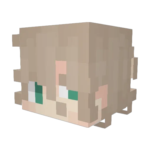 paranoidgrub Minecraft avatar head, 3D render