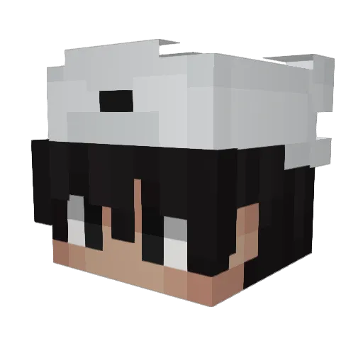 paranoidpark Minecraft avatar head, 3D render