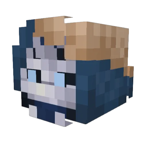 paraselenae Minecraft avatar head, 3D render