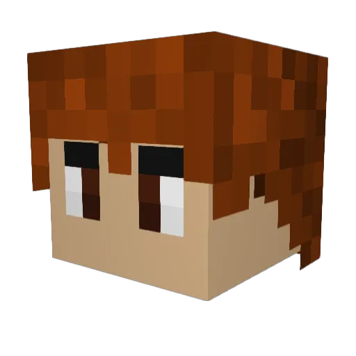 paraskeeb Minecraft avatar head, 3D render