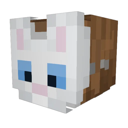 paraxzo Minecraft avatar head, 3D render