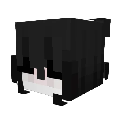 pardeeurgentcare Minecraft avatar head, 3D render