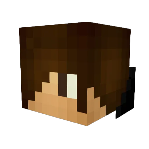 pardiez_2 Minecraft avatar head, 3D render