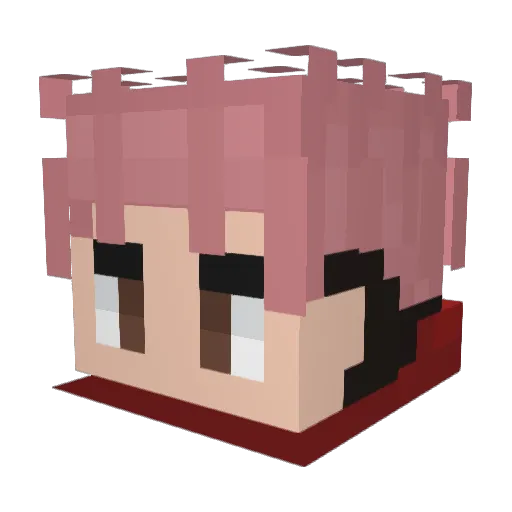 pardolphin Minecraft avatar head, 3D render
