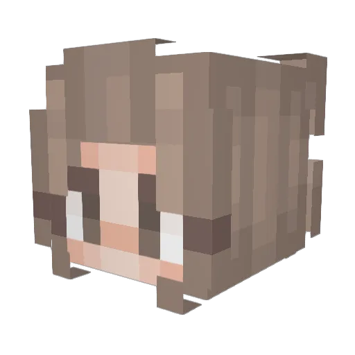 pardonkookie Minecraft avatar head, 3D render