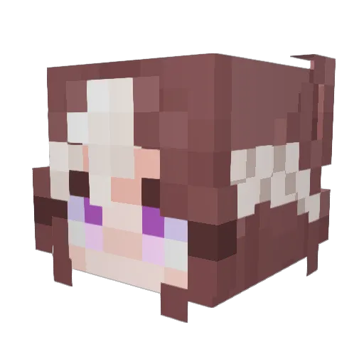 pariposy Minecraft avatar head, 3D render