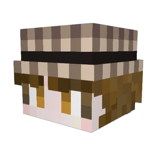 park_sw1 Minecraft avatar head, 3D render