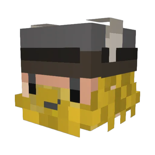 parkandride Minecraft avatar head, 3D render