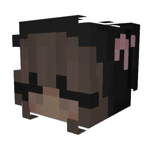 parkdbus Minecraft avatar head, 3D render