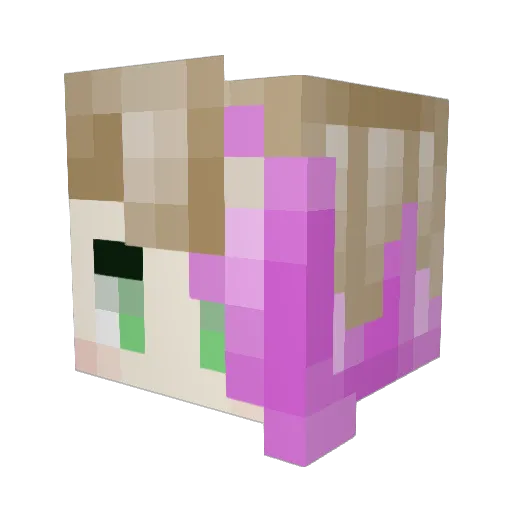 parker1432 Minecraft avatar head, 3D render