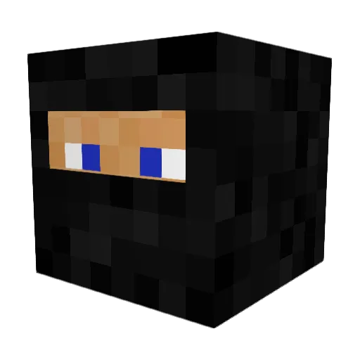 parker705 Minecraft avatar head, 3D render