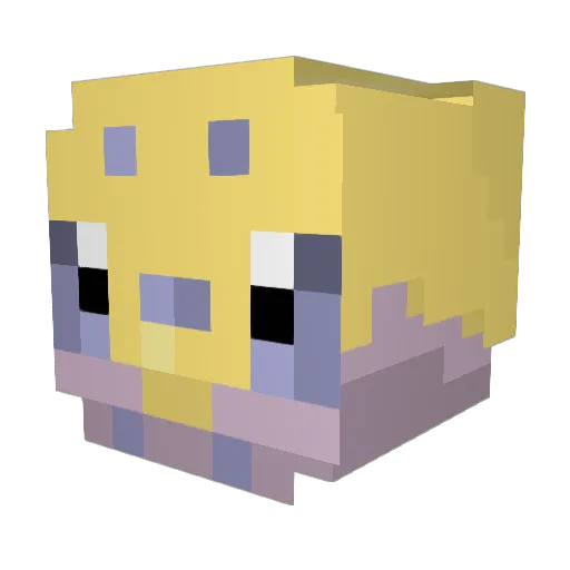 parkerM0N Minecraft avatar head, 3D render