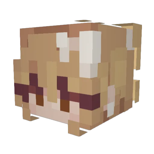 parkerbrooke Minecraft avatar head, 3D render