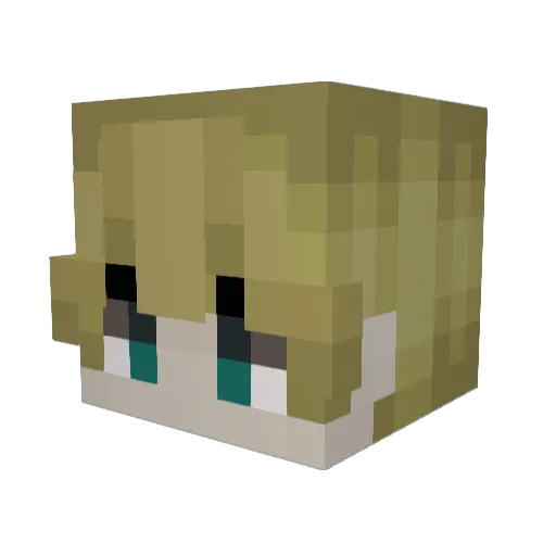 parkingmeter3 Minecraft avatar head, 3D render