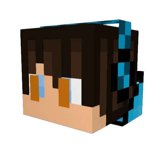 parkjs2478911 Minecraft avatar head, 3D render